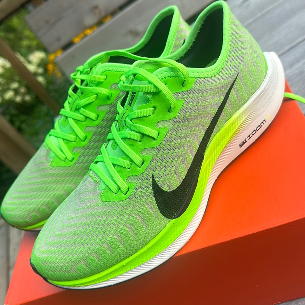 Nike Pegasus Turbo 2